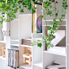 MDF Italia Regal-System Random – Detail